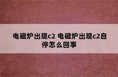 电磁炉出现c2 电磁炉出现c2自停怎么回事